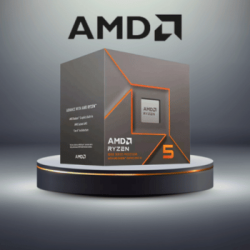 AMD RYZEN 5 8600G