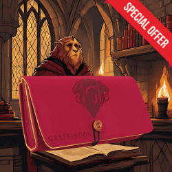 Harry Potter - Pochette Feutrine Switch Gryffondor