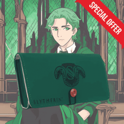 Harry Potter - Pochette Feutrine Switch Serpentard